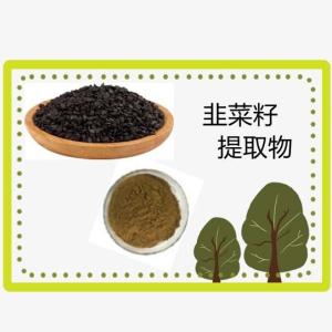 韭菜籽提取物10-1 韭菜籽粉   厂家直销