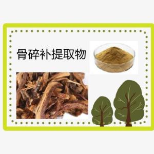 骨碎补提取物 骨碎补粉 骨碎补浸膏粉