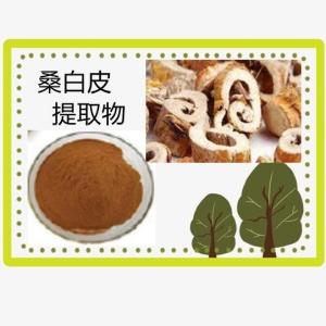 桑白皮提取物10-1 桑根皮提取物 桑白皮浓缩粉