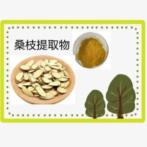 桑枝提取物 水溶 桑枝粉 桑枝浓缩粉 食品原料