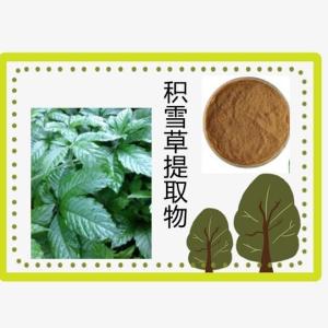 积雪草提取物20-1 积雪草酸 积雪草苷/甙