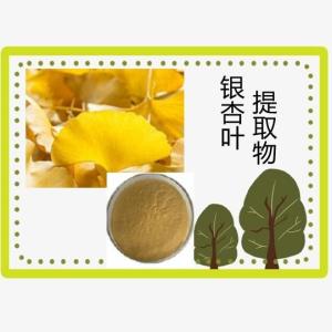 银杏叶提取物10-1银杏叶粉  厂家直销