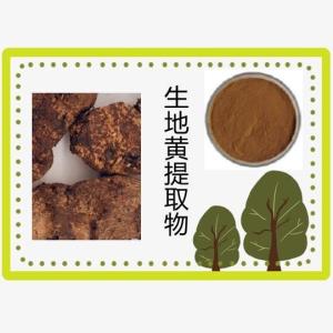 生地黄提取物 水溶 生地黄粉 生地黄浓缩粉