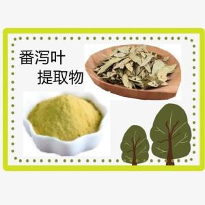 番泻叶提取物10:1 浸膏粉 番泻叶甙 比例番泻叶提取物