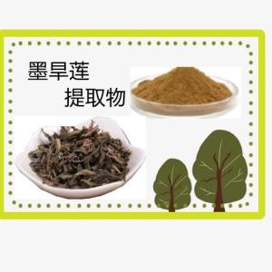 墨旱莲提取物 旱莲草粉 水旱莲提取