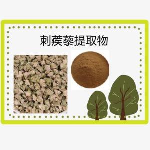 蒺藜提取物10:1 量大优惠  浸膏粉 比例刺蒺藜提取物 包邮