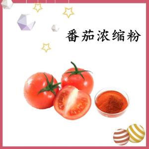 番茄浓缩粉   可做饮料  六盘韵