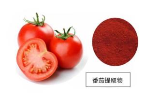番茄提取物 喷雾干燥  食品原料  六盘韵