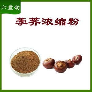 荸荠浓缩粉   量大优惠  可定制 六盘韵