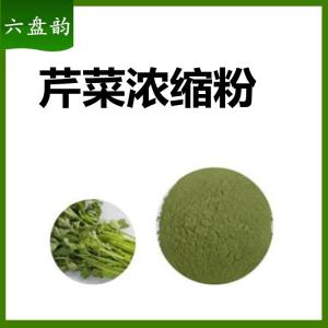 芹菜浓缩粉   六盘韵   可定制   源头供应