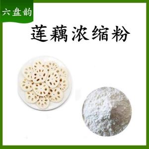 莲藕浓缩粉   六盘韵  食品原料原料