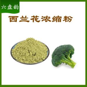 西兰花浓缩粉  质量稳定   支持免费取样