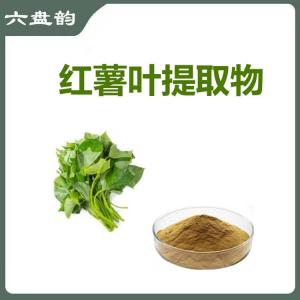 红薯叶提取物  规格齐全  资质齐全  