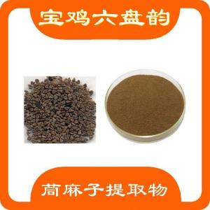 茼麻子提取物  六盘韵  茼麻子浓缩粉  茼麻子速溶粉