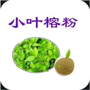 小叶榕粉  小叶榕提取物  六盘韵  资质齐全  可定制