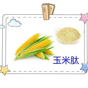 玉米肽  六盘韵  源头厂家