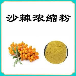 沙棘浓缩粉  速溶沙棘粉   六盘韵  质量稳定