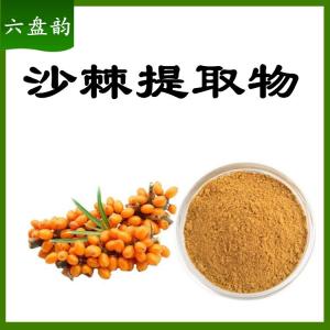 沙棘提取物   粉末细腻均匀   可定制