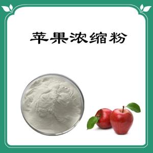 苹果浓缩粉   六盘韵  源头供应