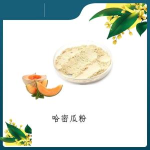 哈密瓜粉  哈密瓜速溶粉   六盘韵 可定制