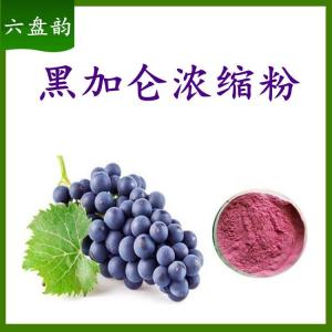 黑加仑浓缩粉   六盘韵  规格齐全  可定制
