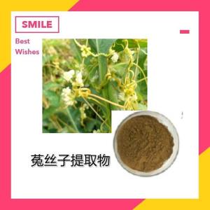菟丝子提取物10-1菟丝子粉 速溶金丝藤浸膏