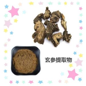 玄参提取物10：1  玄参浸膏粉