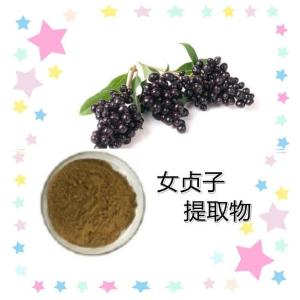 女贞子提取物 女贞子粉
