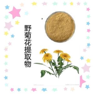 野菊花提取物10-1野菊花粉 北野菊   厂家直销