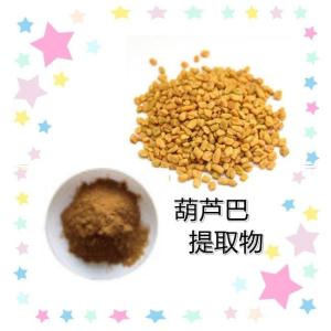 葫芦巴提取物10：1 葫芦巴碱 葫芦巴粉