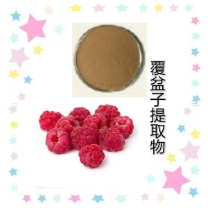 覆盆子提取物覆盆子粉食品饮料原 喷雾干燥工艺