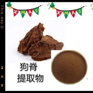 狗脊提取物 水溶 狗脊粉 狗脊浓缩粉