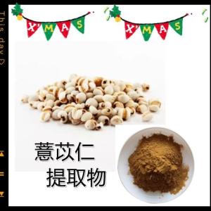薏苡仁提取物 薏苡仁粉 薏苡仁多糖 薏苡仁浓缩粉