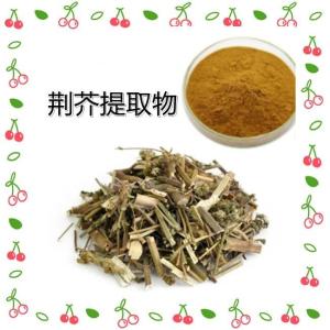 荆芥提取物 水溶 荆芥粉 浓缩粉 香荆荠粉