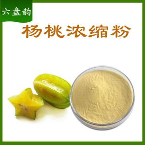 杨桃浓缩粉   水溶性杨桃粉   可定制