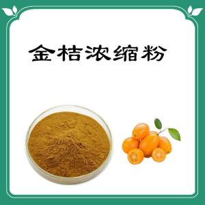 金桔浓缩粉   喷雾干燥浓缩粉  六盘韵
