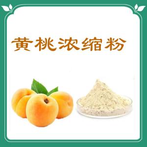 黄桃浓缩粉   六盘韵   可定制   源头供应
