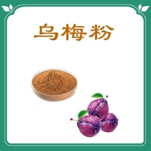 乌梅粉  粉末均匀细腻   可定制
