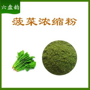 菠菜浓缩粉   六盘韵  可定制 可包邮