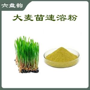 大麦苗速溶粉 食品饮料原料   六盘韵
