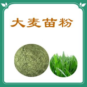 大麦苗粉  大麦苗粉价位  粉末细腻  六盘韵