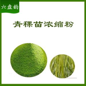 青稞苗浓缩粉   喷雾干燥粉 六盘韵  规格齐全