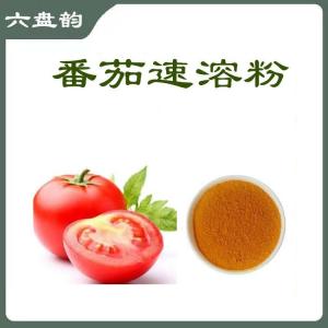番茄速溶粉   番茄粉   番茄浓缩粉    六盘韵  规格齐全