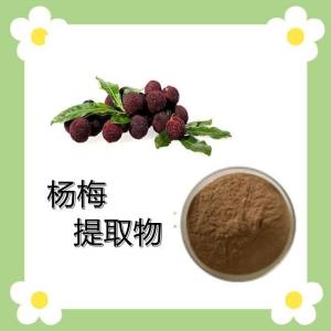 杨梅提取物10-1 杨梅提取物 杨梅粉 速溶杨梅浸膏 资质齐全 厂家包邮