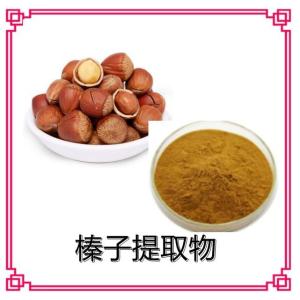 榛子提取物 水溶 榛子粉 榛子浓缩粉 山板栗提取物