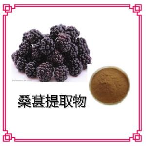 桑葚提取物 桑葚粉 桑葚浸膏