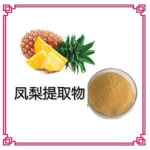凤梨提取物 凤梨果汁粉 菠萝粉