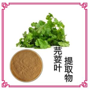 芫荽叶提取物 规格10-1 20-1 香菜萃取物