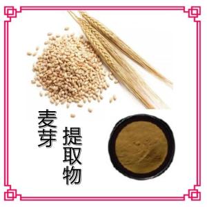 麦芽提取物10:1 浓缩 速溶 浸膏 富硒麦芽粉 大麦提取物