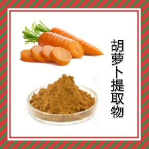 胡萝卜提取物10:1水溶胡萝卜粉 食品原料 资质齐全